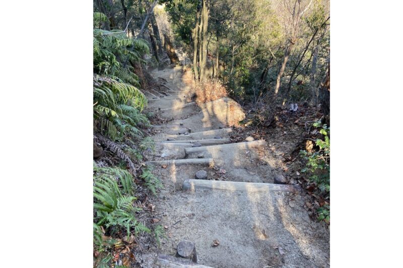 猿投山から雲興寺方面(瀬戸側)へ向かう登山道