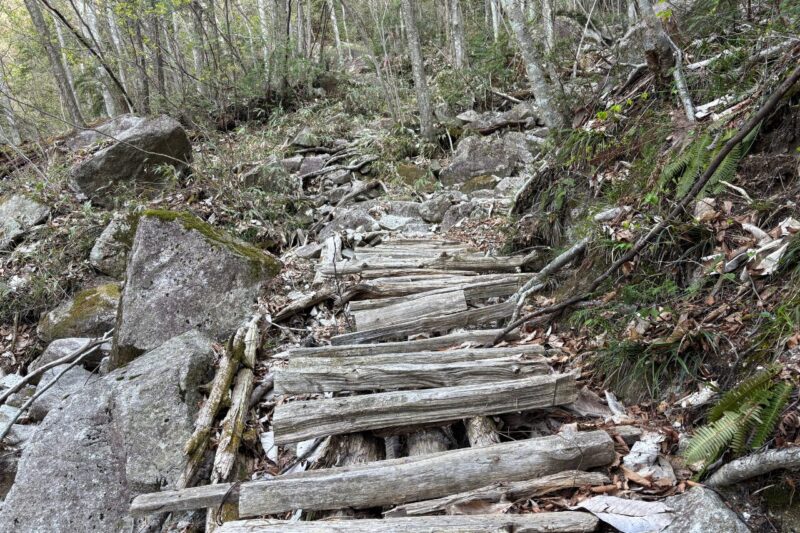 南木曽岳 登山道 木の階段セクション