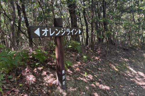 オレンジライン ハイキング 知多半島 愛知