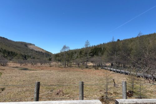 大阿原湿原 木道 入笠山 長野 トレッキング