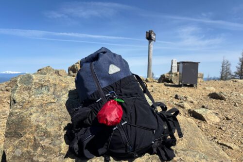 Ha_co りんご巾着 くだもの巾着 長野 登山