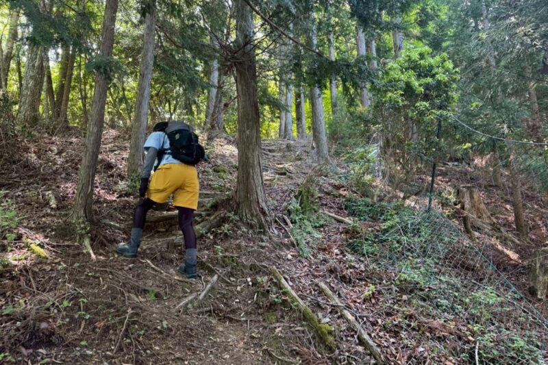 日本ヶ塚山 登山道 登り 愛知