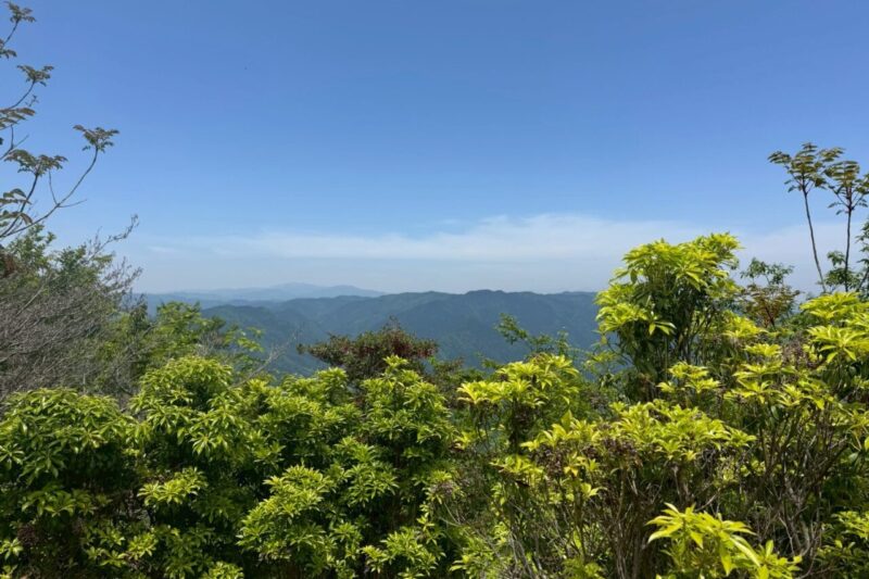 日本ヶ塚山 山頂 眺め 眺望 愛知 登山
