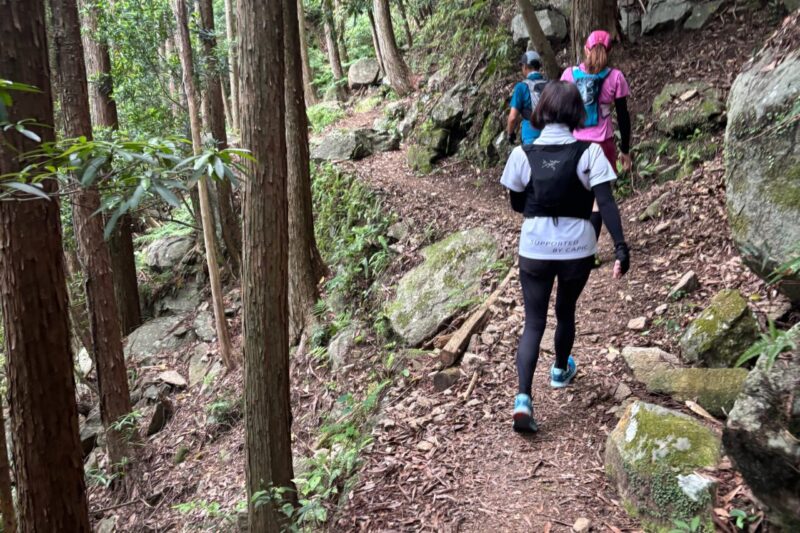 オハイ　登山道　周回　頂山　尾鷲