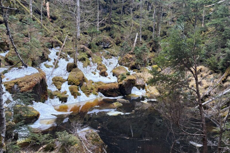 地獄谷 北八ヶ岳 麦草峠