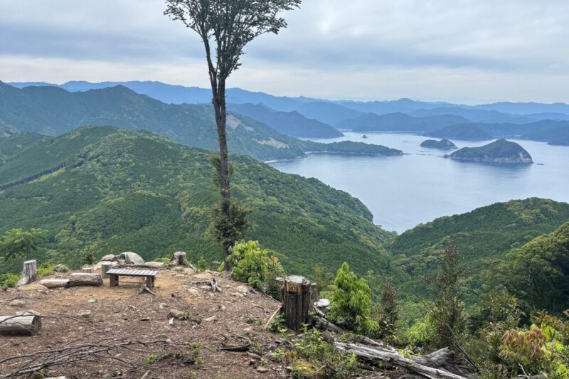 頂山　一本桜　尾鷲　オハイ　海が見える山