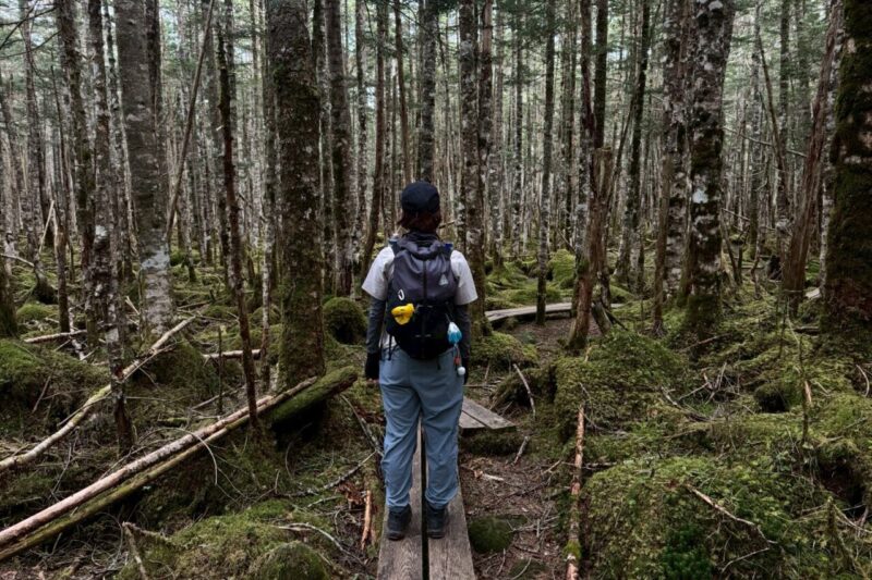 北八ヶ岳 麦草峠 登山道 苔の森