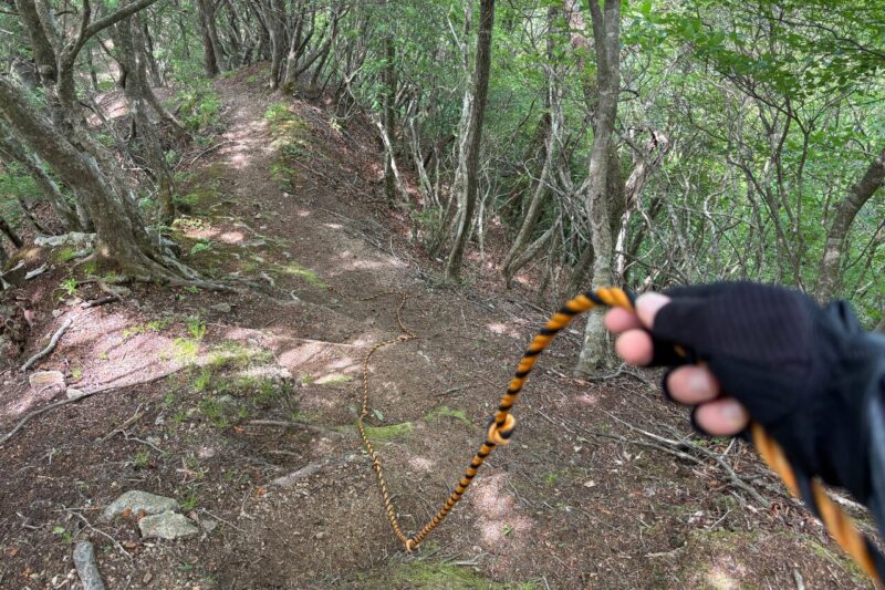 日本ヶ塚山 登山道 愛知 ロープ