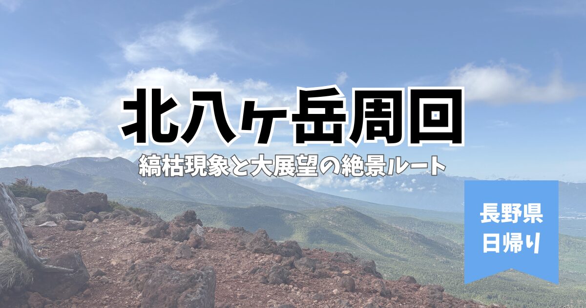 北八ヶ岳　周回　茶臼山展望台　茶臼山