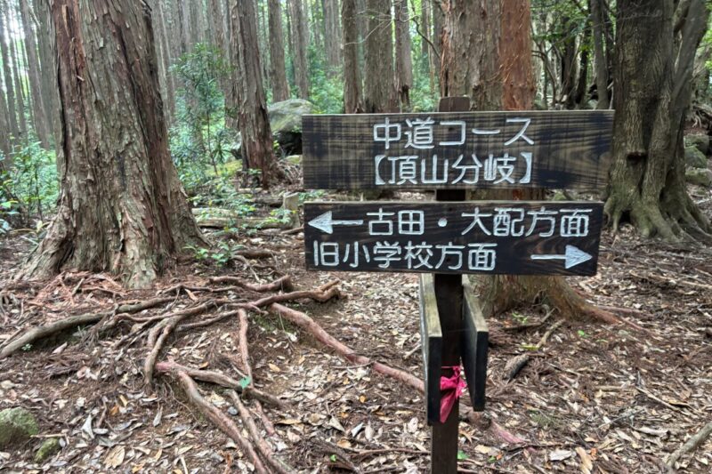 オハイ　頂山　登山道　看板　案内板