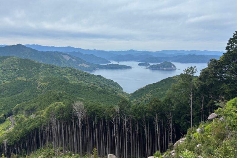 一本桜　絶景　尾鷲　頂山　オハイ　海が見える山