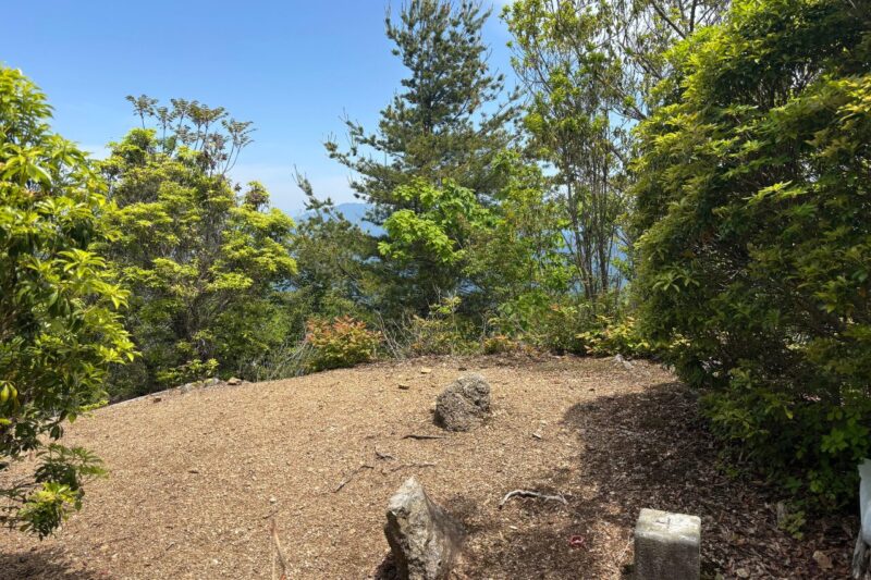 日本ヶ塚山 山頂 愛知 登山