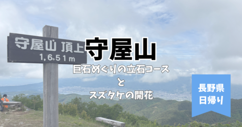 守屋山　長野　スズタケ　立石　巨石コース