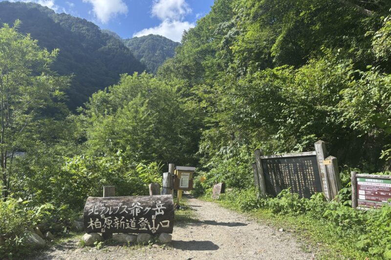 柏原新道登山口 下山